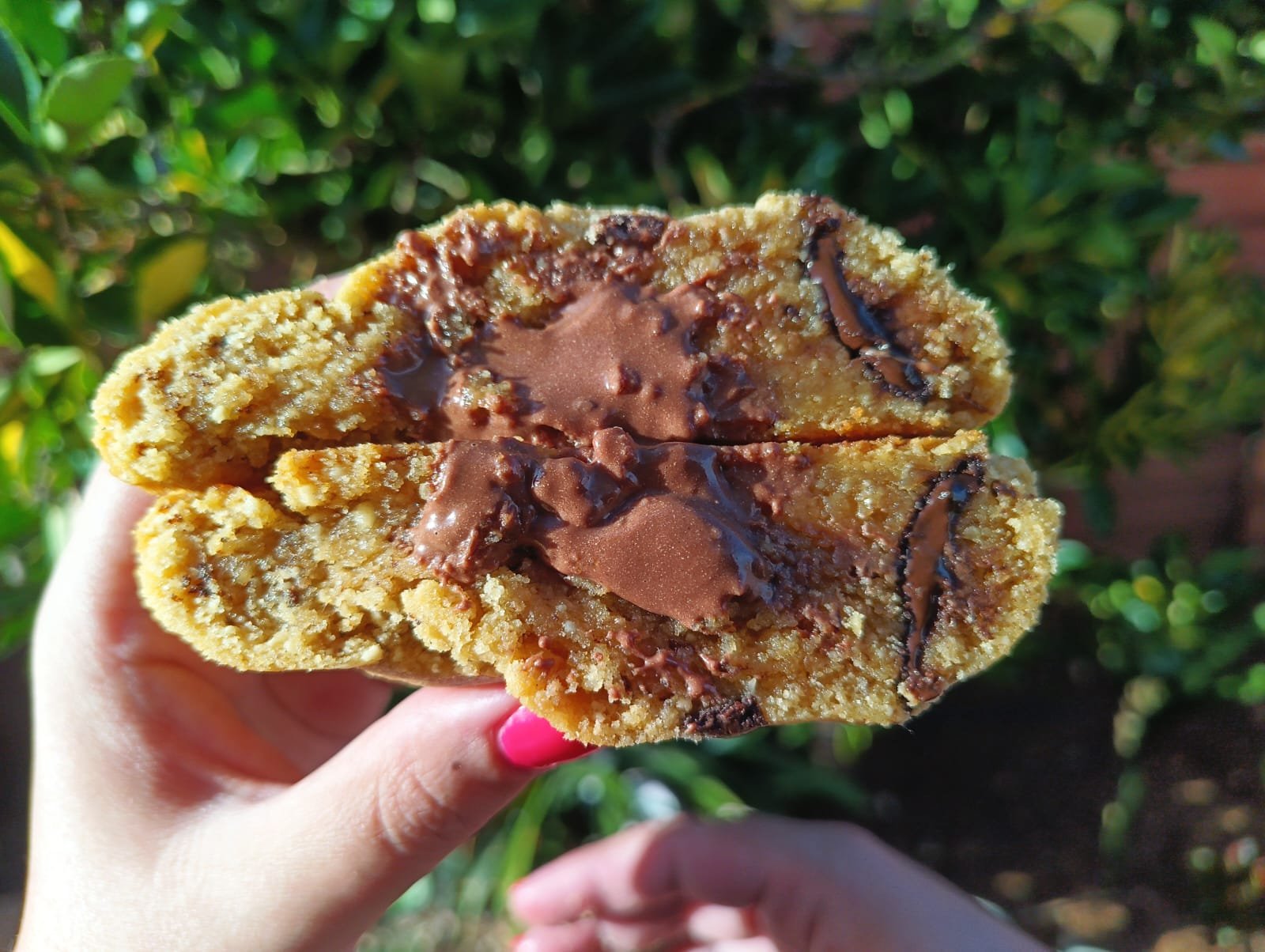 gourmet rooibos and white chocolate happie gourmet rooibos and white chocolate happie