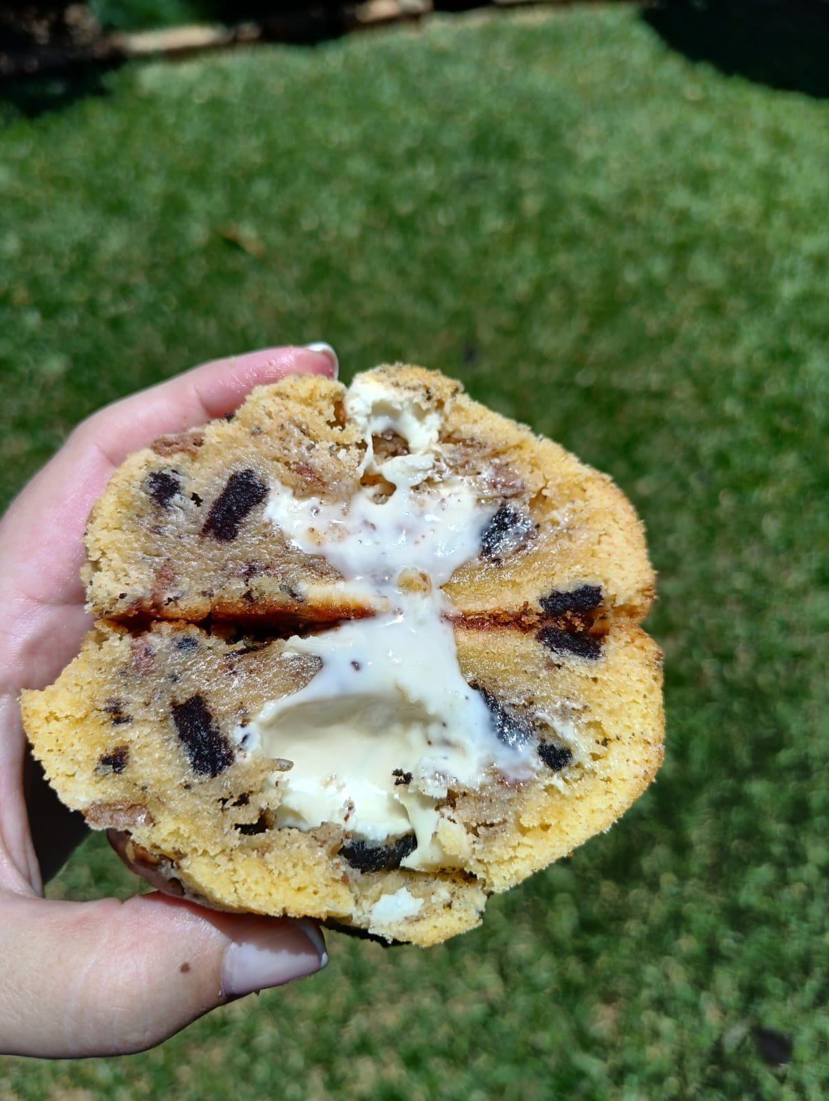 gourmet rooibos and white chocolate happie gourmet rooibos and white chocolate happie