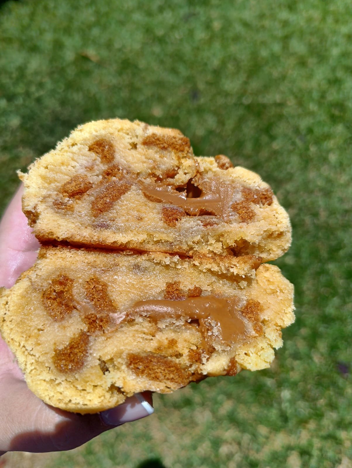 gourmet rooibos and white chocolate happie gourmet rooibos and white chocolate happie